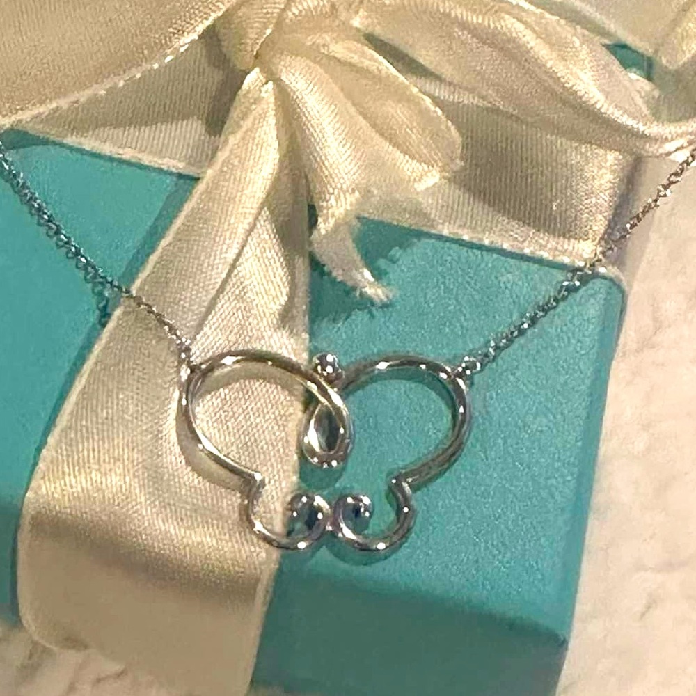 🦋🦋Tiffany & Co Paloma Picasso Butterfly Necklace